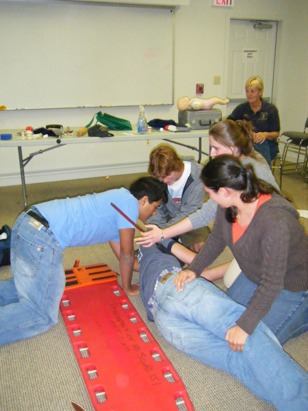 picture missing, see caption