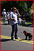 2008-5-26_14_Heather_Orlandi_puppy.jpg